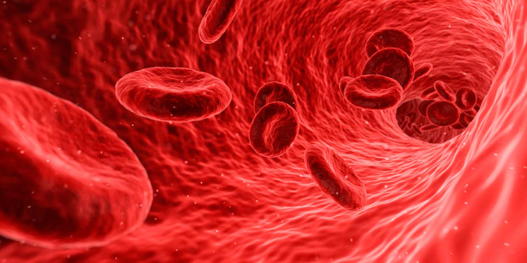 ¿Por qué es tan «especial» la estandarización en hematología?